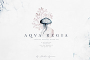Aqva Regia - Underwater Designer Set, an Illustration by studioequinox (Thumbnail 1 of 9)