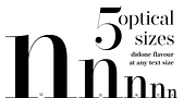 Operetta, a Serif Font by Synthview Type Design (Thumbnail 5 of 10)