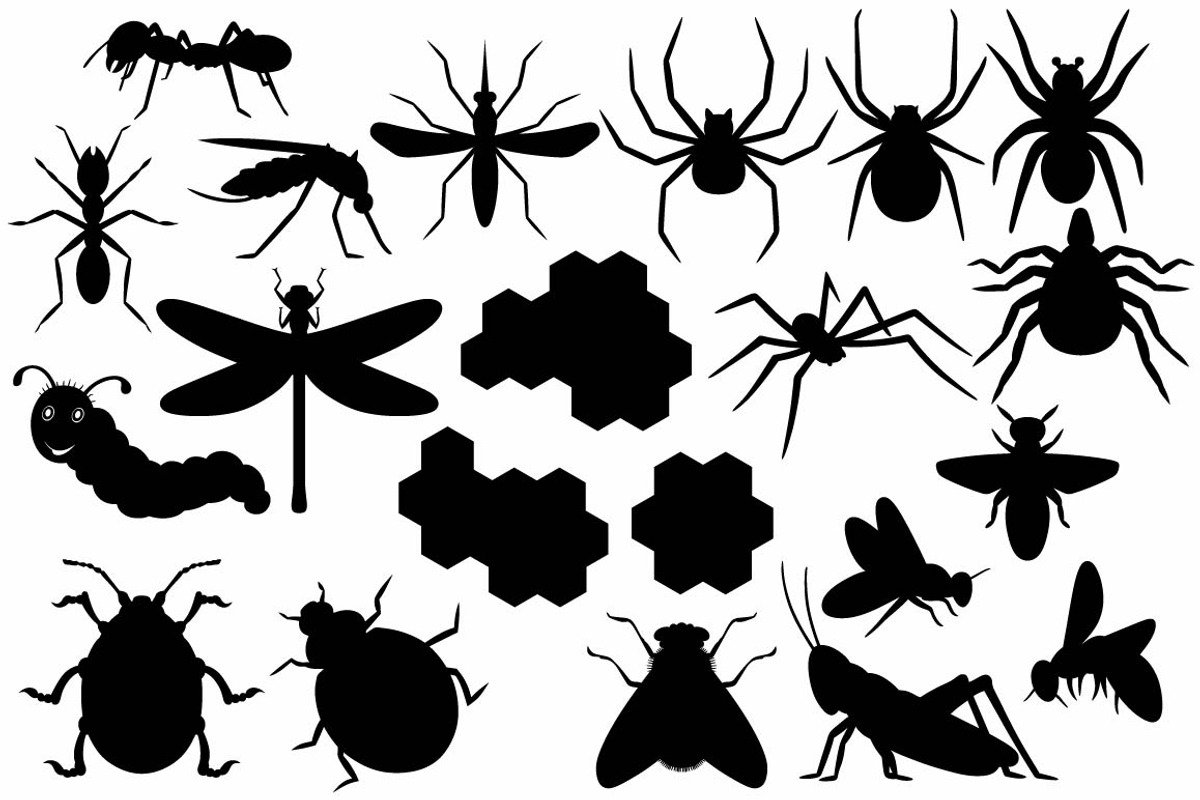 Group of different insects, an Outline Icon by LineworkStock (Photo 2 of 3)