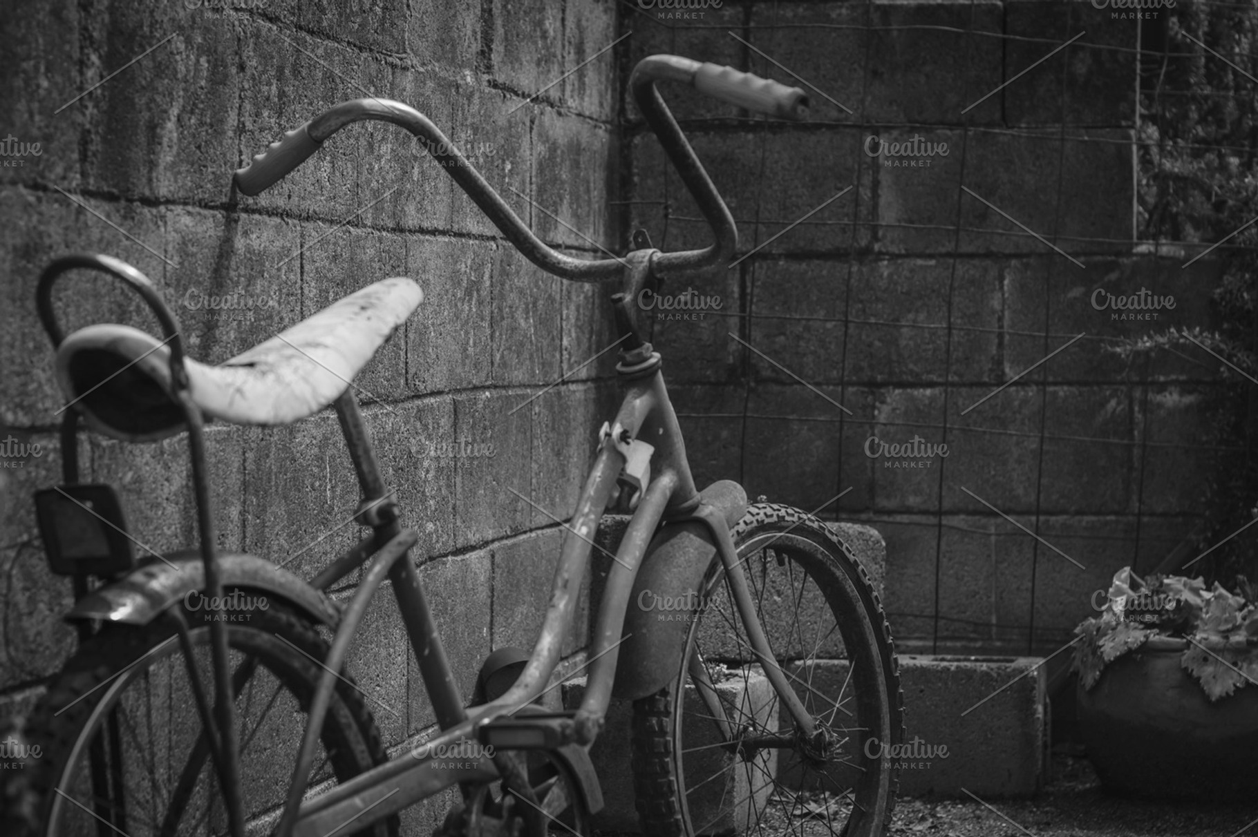 Abandoned Bicycle