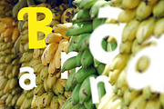 Shapesol Typeface, a Font by Tooris (Thumbnail 11 of 12)