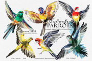 Colorful Parrots Clipart Set, an Animal Illustration by Leonaa art (Thumbnail 1 of 5)