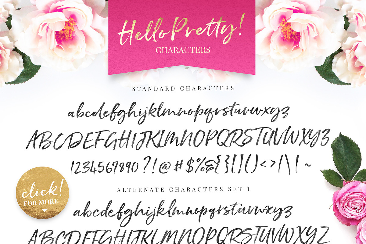 Hello Pretty! Casual Brush Font, a Script Font by Nicky Laatz (Photo 14 of 15)