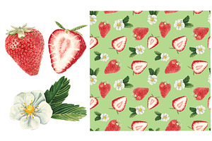 Watercolor strawberry set
