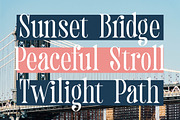 Trangels New Tall Serif Display, a Serif Font by timelesstype.co (Thumbnail 9 of 20)