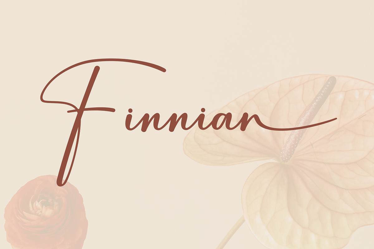 Ballory - Elegant Signature Font, a Script Font by Flawless And Co (Photo 3 of 10)