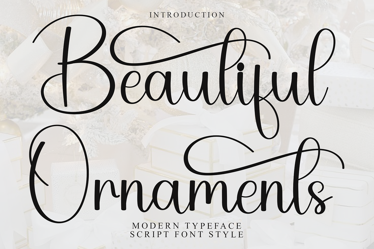 Beautiful Ornaments, a Handwritten Font by FreshTypeINK (Photo 1 of 8)