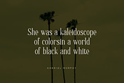Scarlett Quistan Modern Serif Font, a Serif Font by Letterena Studios (Thumbnail 6 of 15)