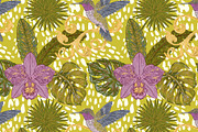 Tropical Hummingbird Orchid Botanica, a Pattern Graphic by NayaChu (Thumbnail 1 of 9)
