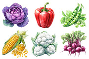 Watercolor Vegetable Collection Clip, an Illustration by Daily.Designs (Thumbnail 3 of 5)