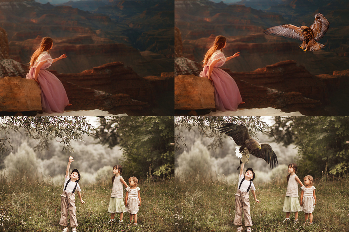 Bald Eagle Overlays, an Object Graphic by DreamyOverlay (Photo 2 of 4)