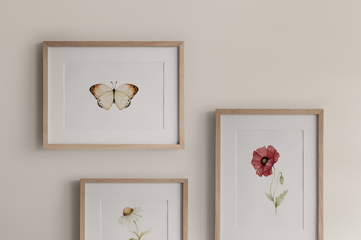Watercolor Botanical Wildflowers Set, a Decorative Illustration by Carol Lozove (Photo 6 of 36)