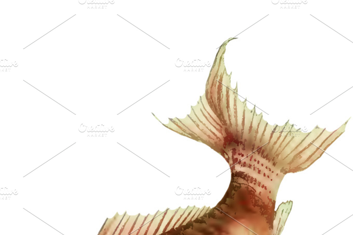 Japanese Koi Images, a Graphic by Digital Vintage (Photo 5 of 7)