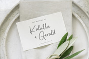 Palms Delight Font, a Script Font by Timurtype (Thumbnail 4 of 7)
