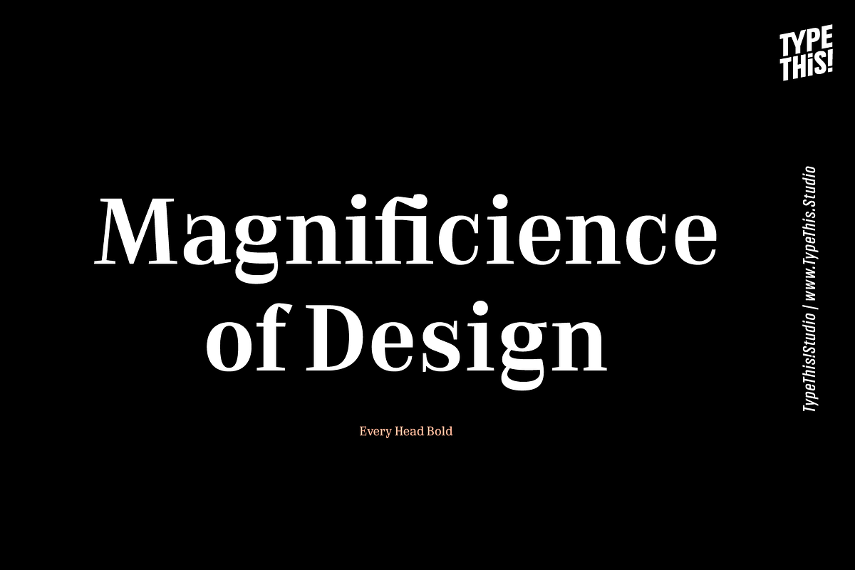 Every Core, a Serif Font by TypeThis!Studio (Photo 2 of 10)