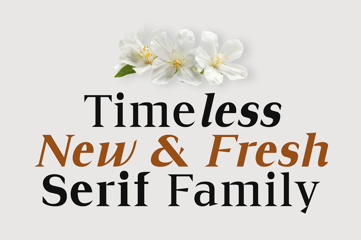 Cirvia Timeless & Fresh Serif Family, a Serif Font by Lettertype Studio (Photo 2 of 15)