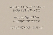 dear ivy, fashion modern serif, a Serif Font by Harmonais Visual (Thumbnail 16 of 16)