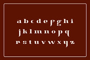 Chicago Retro Geometry Font, a Serif Font by Rasgood (Thumbnail 4 of 5)