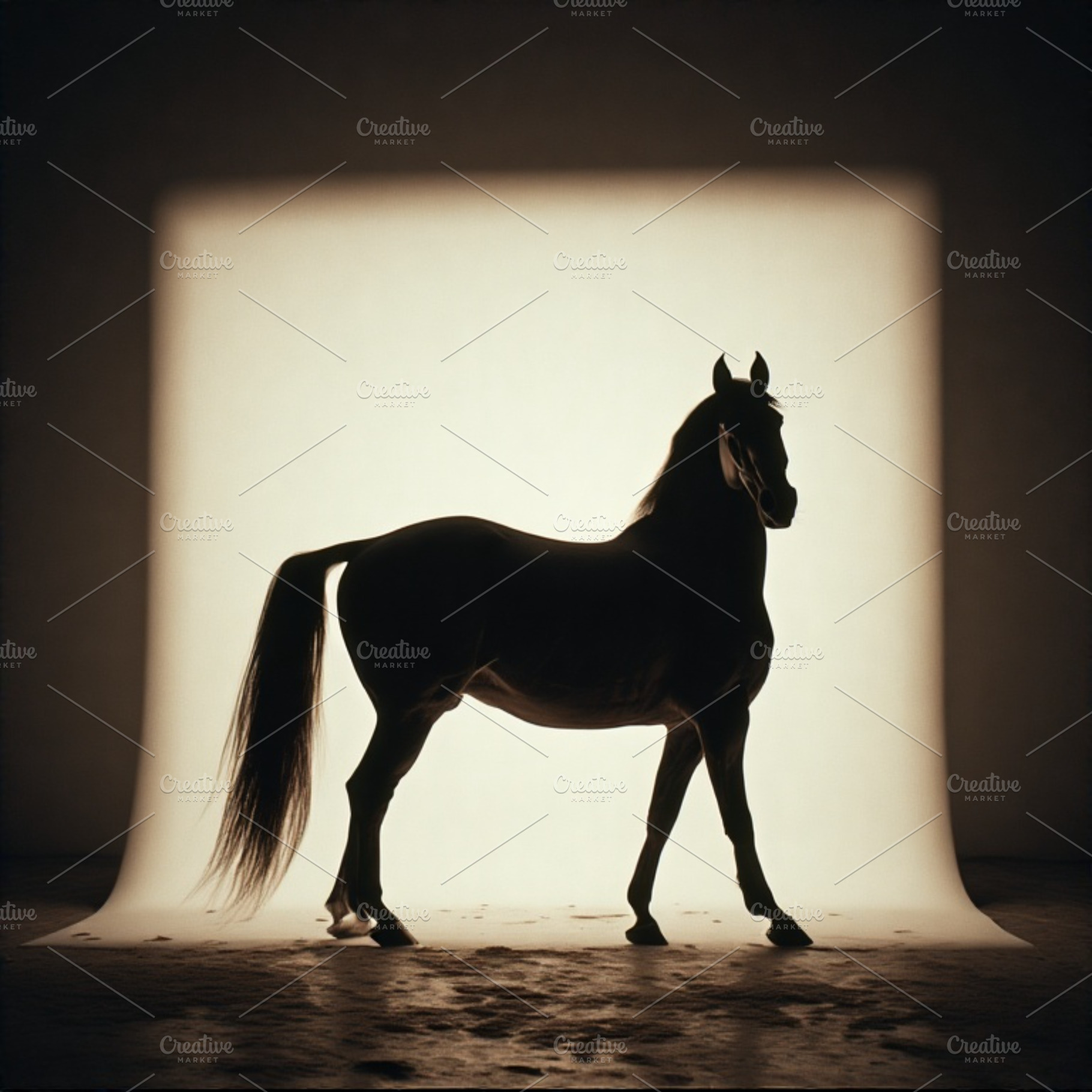 Horse photography, an Animal Photo by ComfortQ