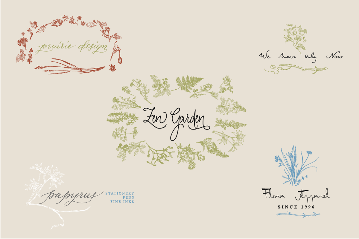 Botanical Vector Collection, an Illustration by Julia Bausenhardt (Photo 2 of 5)