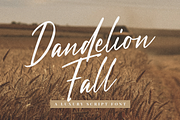 Dandelion Fall - Script Font, a Script Font by Graphue (Thumbnail 1 of 12)