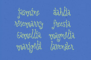 Dreaming Ocean | Curly Whimsy Font, a Handwritten Font by type peace (Thumbnail 10 of 15)