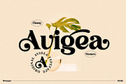 Avigea Modern Serif Font Display, a Script Font by Storytype Studio (Thumbnail 1 of 10)