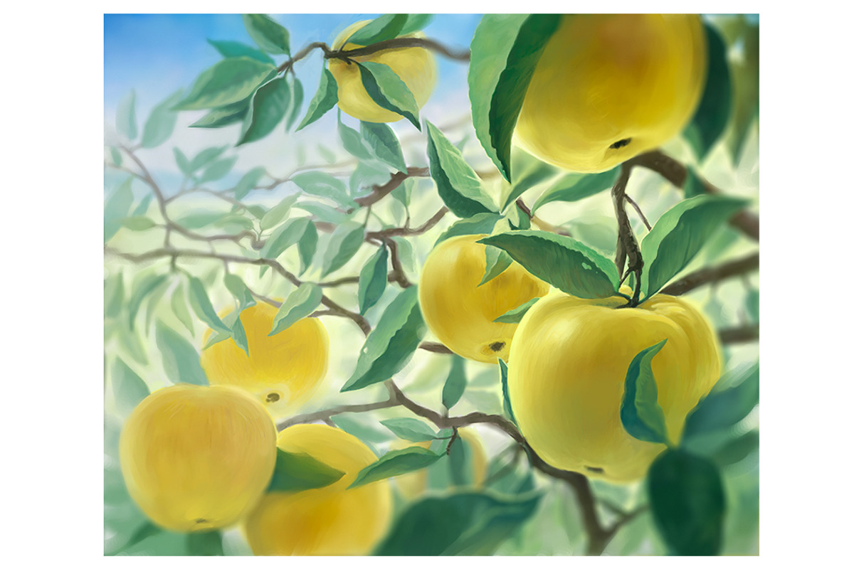 Apple set, a Food Illustration by Countryside life (Photo 10 of 12)