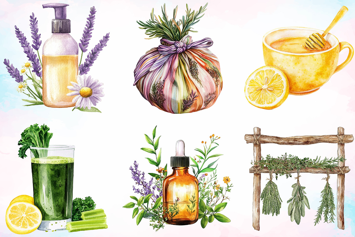 Watercolor Natural Remedies Clipart, an Illustration by Canvas Craft (Photo 4 of 4)