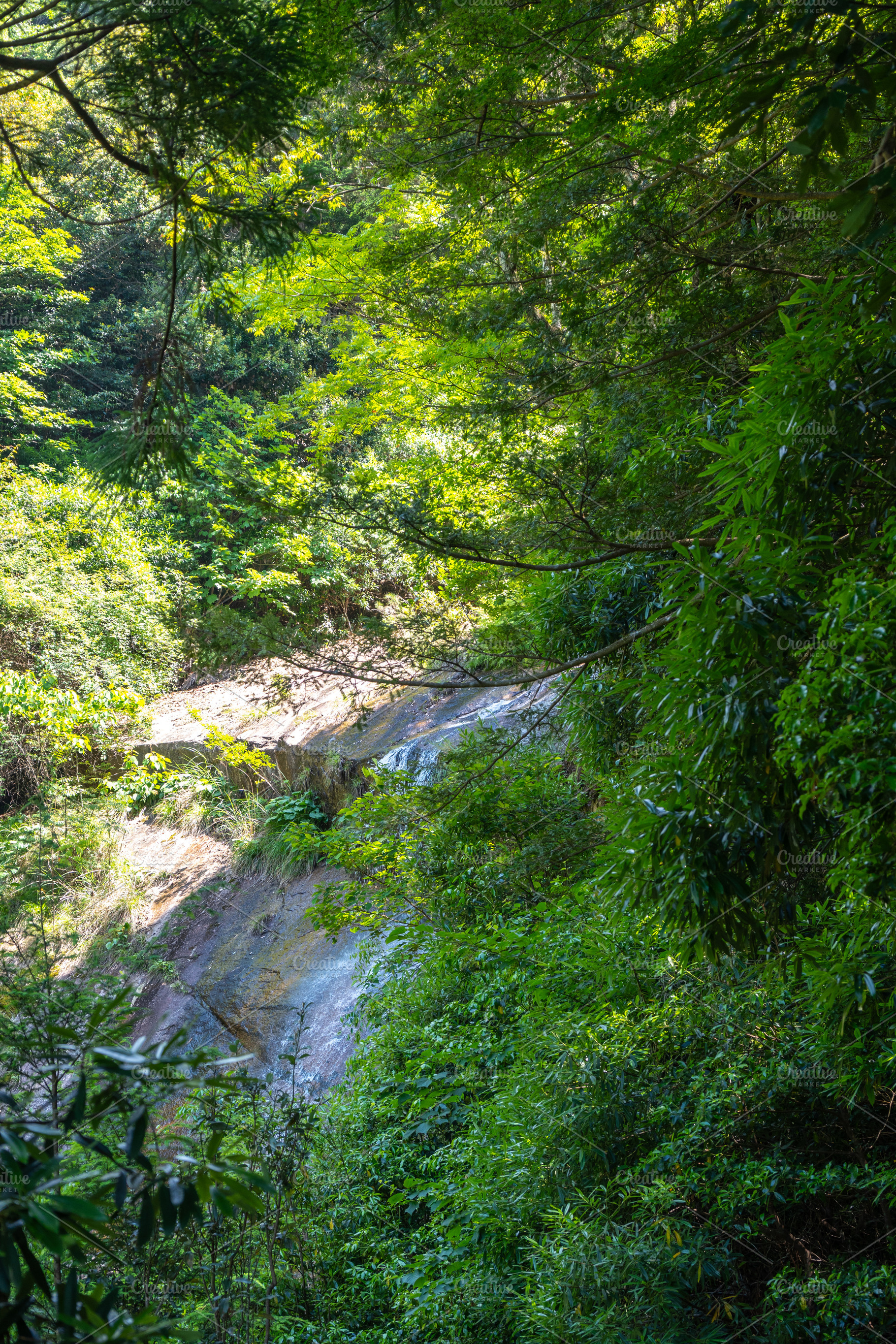Shiraito Falls in lush forest on Mount Misen, Miyajima, a Nature Photo by GoodGoods