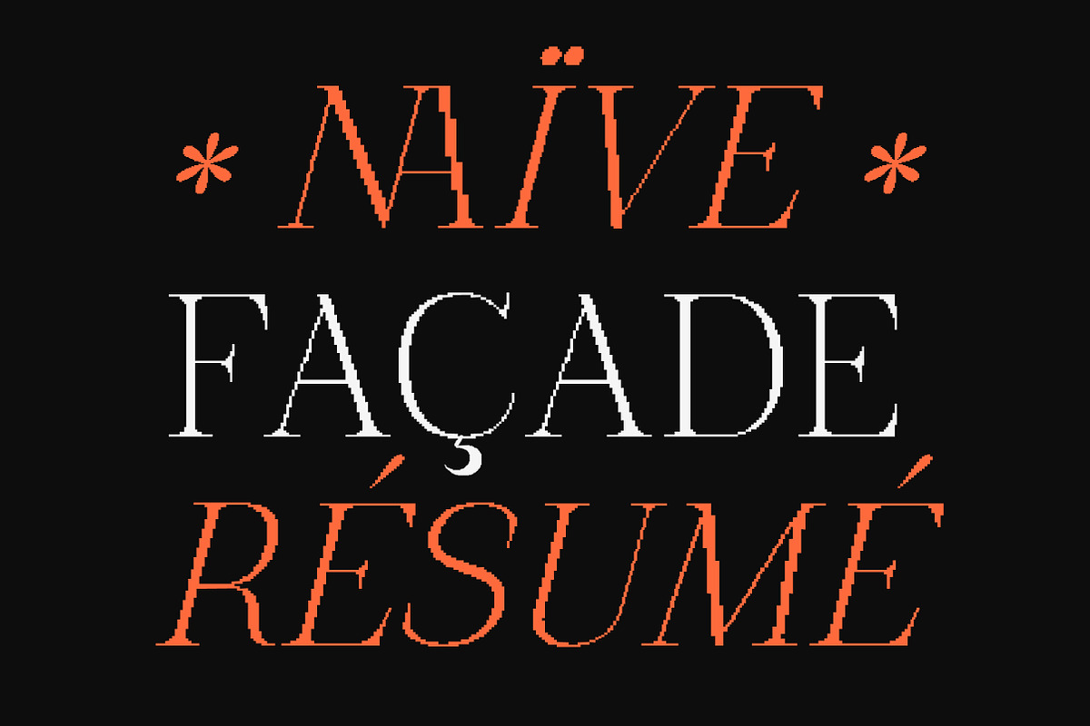The Pixel Editorial – Modern Serif, a Sans Serif Font by Lettertype Studio (Photo 15 of 15)