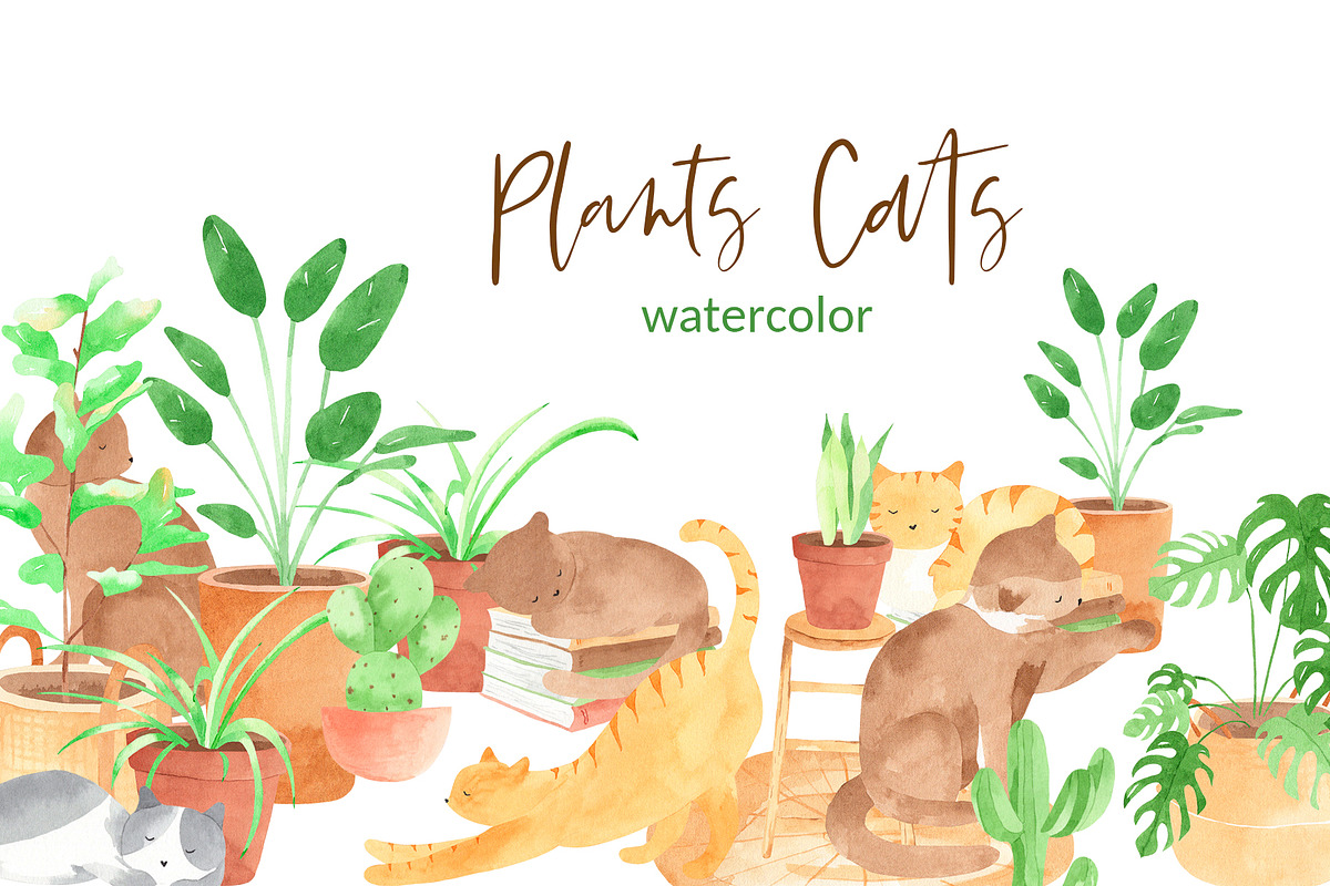 Plants & Cats Watercolor Clipart, an Animal Illustration by natalisart (Photo 1 of 13)