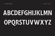 Ginfitanle, a Serif Font by studiobasic (Thumbnail 6 of 11)