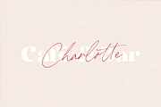 Carneys Gallery Font Duo, a Sans Serif Font by Letteralle Studios (Thumbnail 3 of 16)