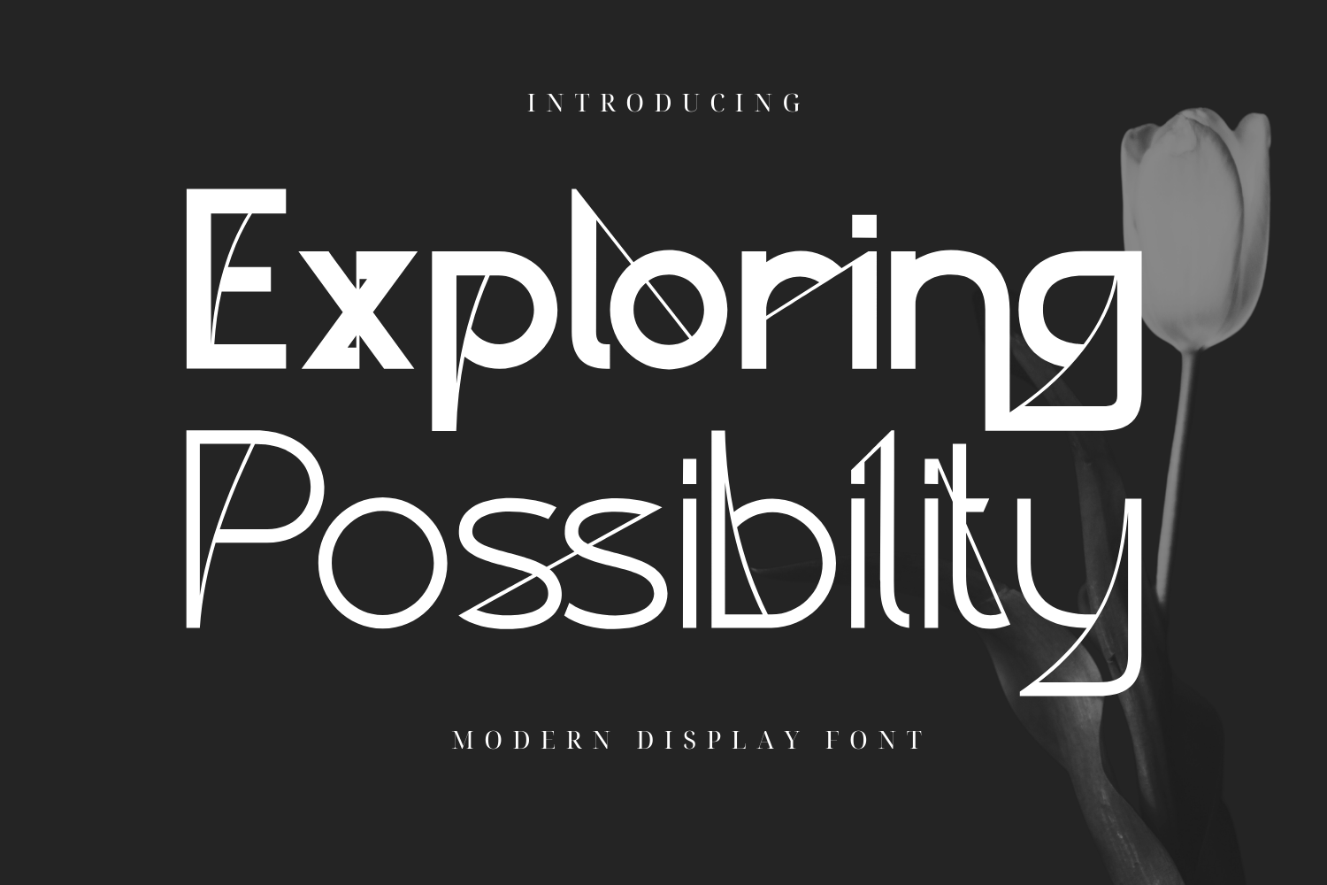 Exploring Possibility Font, a Sans Serif Font by 177Studio