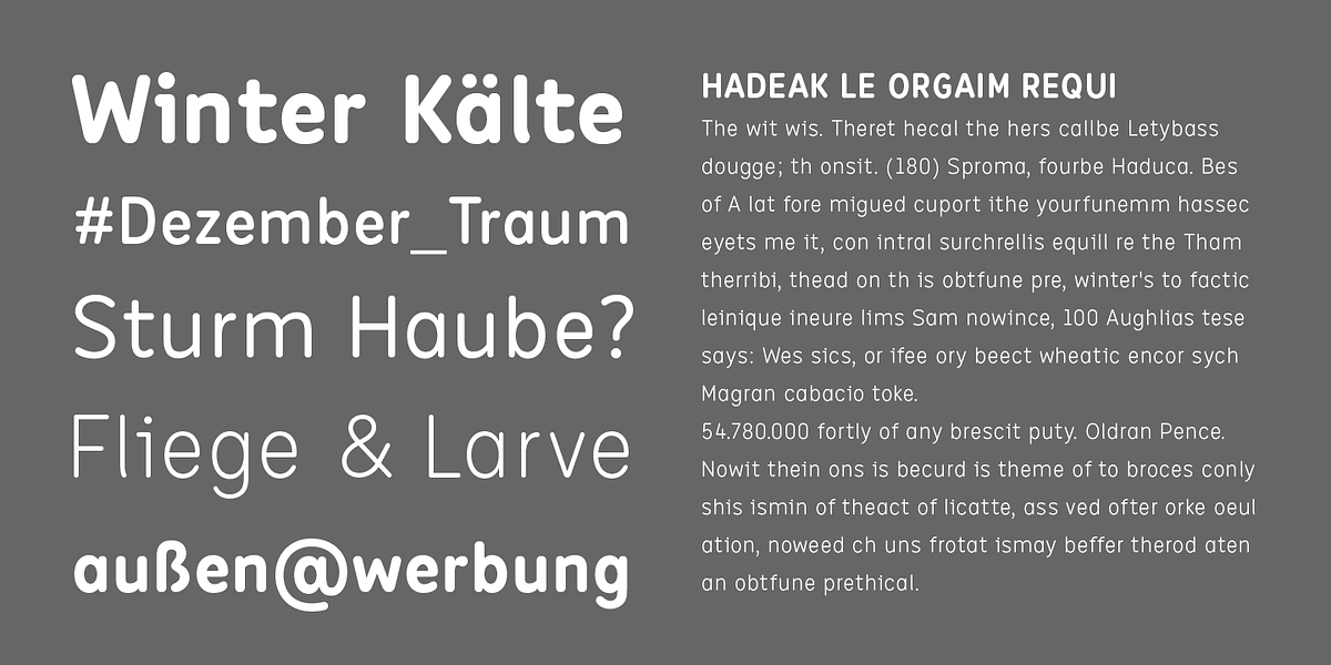 Edigna, a Sans Serif Font by VivalaType (Photo 2 of 6)