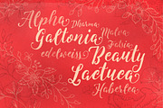 Levitte Script, a Script Font by Flavortype (Thumbnail 4 of 5)