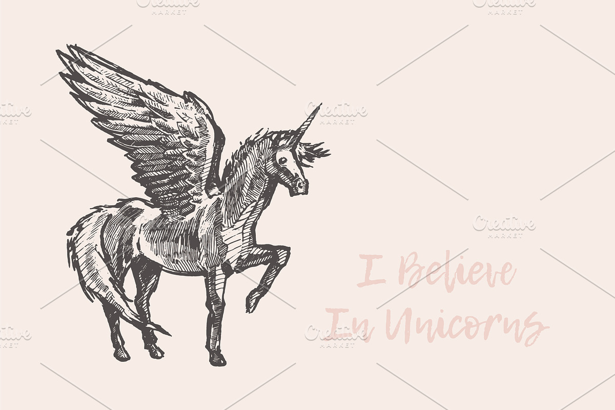 Illustrations of unicorns, an Animal Illustration by TheMountBirdStudio (Photo 3 of 5)