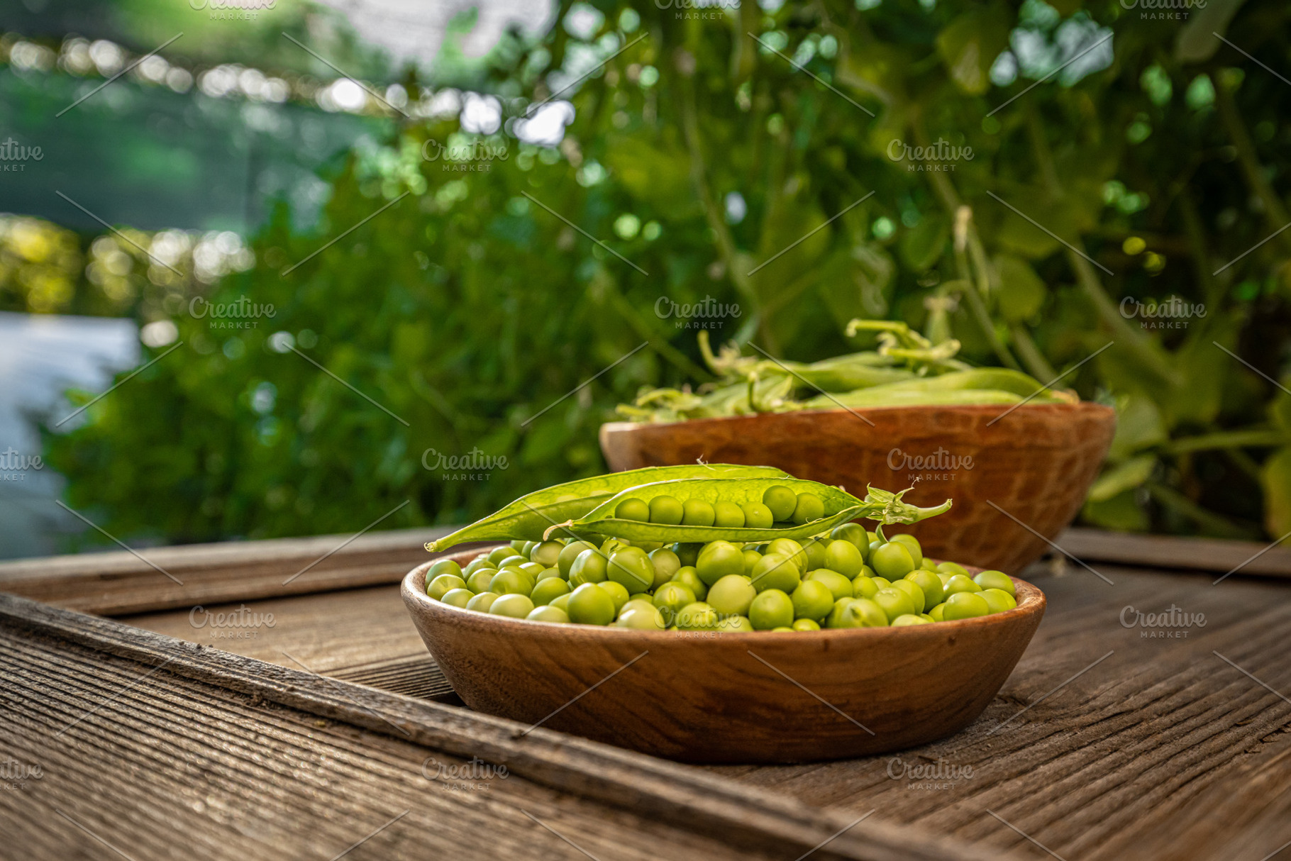 Freshly harvested green peas, a Photo by Grafvision photography