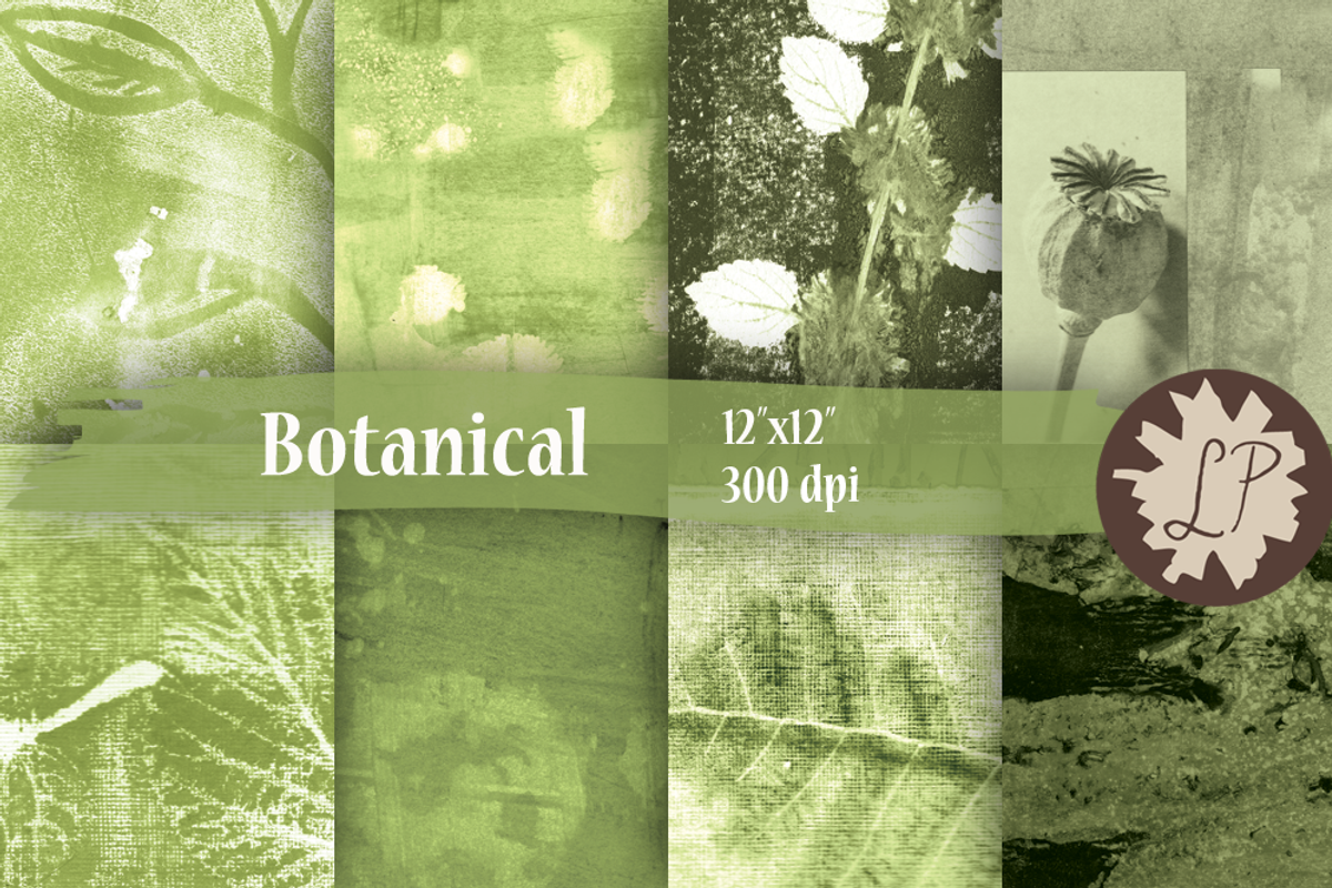 Botanical Painted Papers, a Pattern Graphic by Liz Plummer (Photo 1 of 5)