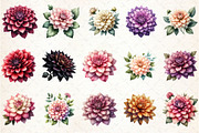 Dahlia Flower Watercolor Cliparts, an Illustration by Rose Art (Thumbnail 2 of 7)