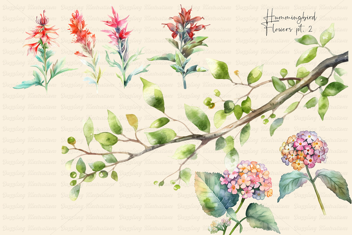 Watercolor Hummingbird and Flowers, an Animal Illustration by Dazzling Art Boutique (Photo 5 of 8)