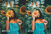 5 Sunflower Lightroom Presets, a Preset Add-On by TheWayfarerShoppe (Thumbnail 6 of 7)