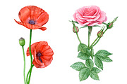 20%OFF! Watercolor Romantic Flowers, an Illustration by Katya Zlobina (Thumbnail 4 of 6)