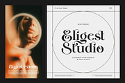 Cligne Elegant Serif Font, a Serif Font by Perfectype (Thumbnail 2 of 8)