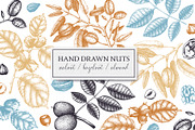 Hand-Drawn Nuts Sketches, a Food Illustration by Yevheniia (Thumbnail 1 of 12)