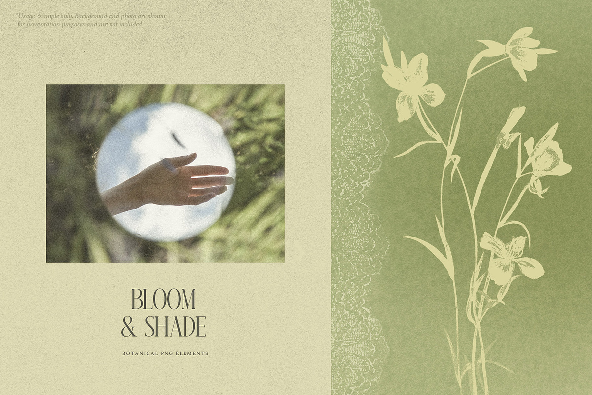 Bloom & Shade Botanical PNG Elements, an Object Graphic by alonahaidash (Photo 11 of 13)