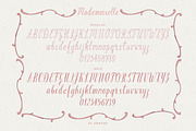 Mademoiselle Modern Rococo Font Duo, a Handwritten Font by AnMark (Thumbnail 12 of 14)