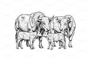 Vector cow family illustration, an Animal Illustration by yod67