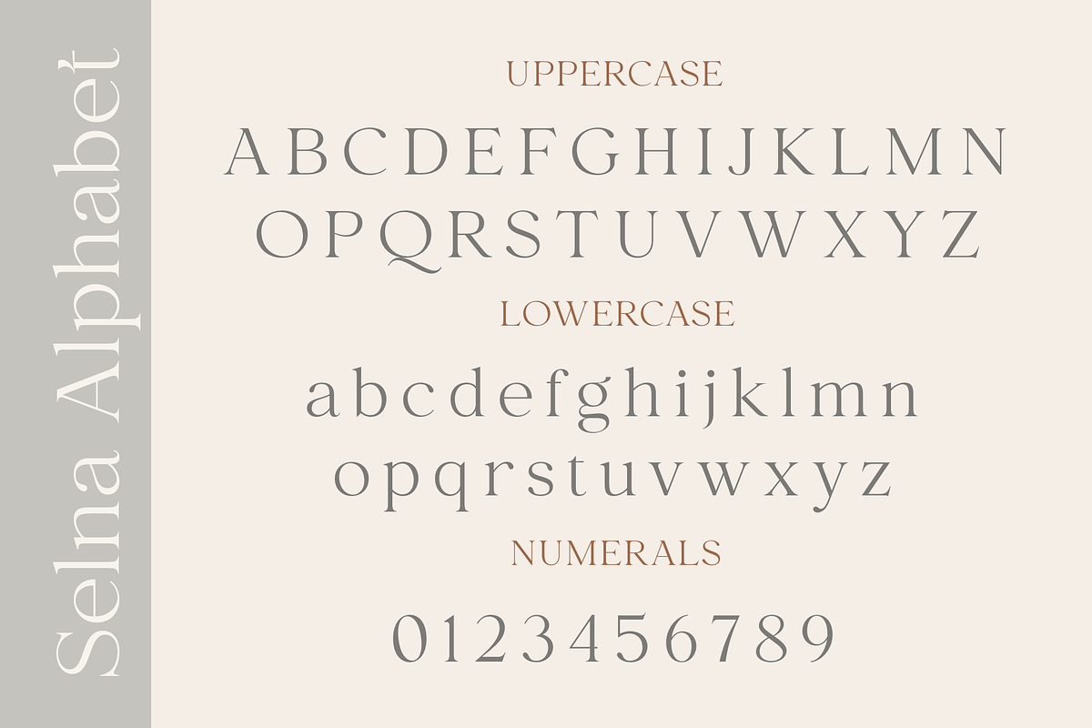 Selna, a Serif Font by Larin Type Co. (Photo 13 of 15)